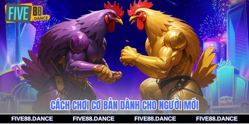 Cách chơi cơ bản dành cho người mới